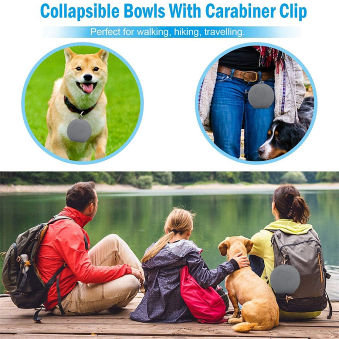 Double Collapsible Dog & Cat Bowls with Non-Slip Silicone Mat - Image 7