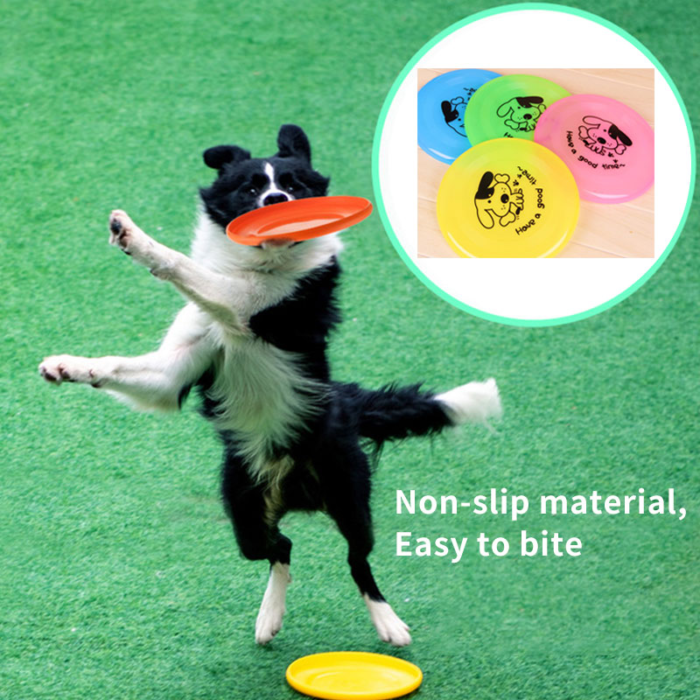 Durable Silicone Flying Disc Dog & Cat Toy - Image 4