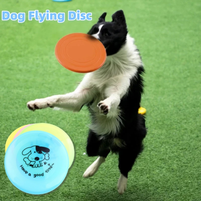 Durable Silicone Flying Disc Dog & Cat Toy - Image 3