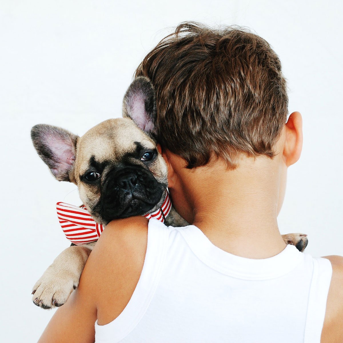 Pets Toys