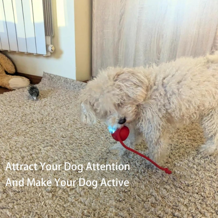Interactive Rolling Smart Ball – 360° Rechargeable Pet Toy - Image 7