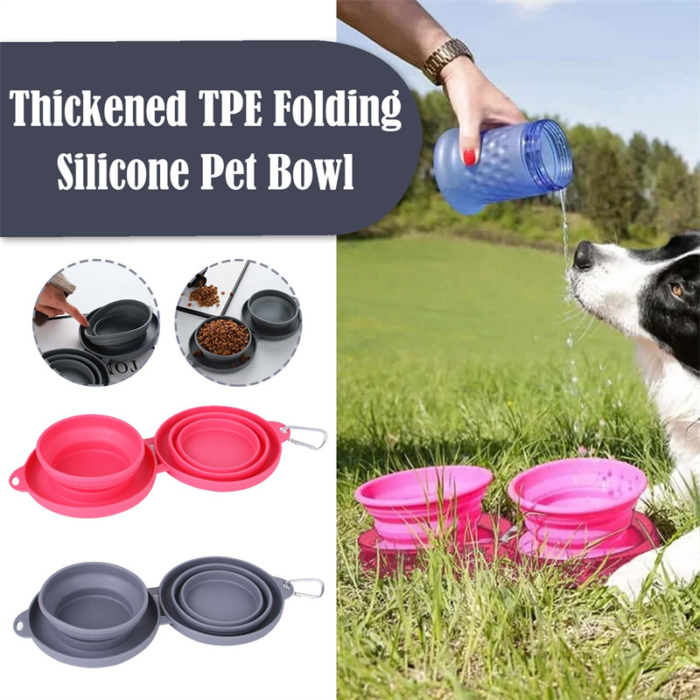 Double Collapsible Dog & Cat Bowls with Non-Slip Silicone Mat - Image 2
