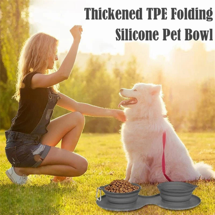 Double Collapsible Dog & Cat Bowls with Non-Slip Silicone Mat - Image 5